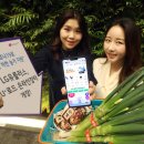 장터소비자마트 이미지