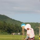 동부 할머니 이미지