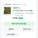필마이쿠키