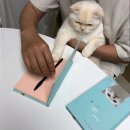 냥스타