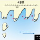 갈마도 티스토리