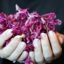 들뫼민박 이미지