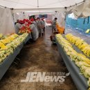 제주축산업협동조합 동물병원 이미지