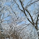 백둔리 주차장 이미지