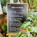 장독대자연산버섯전문점 이미지