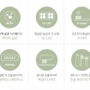 3166 | 내돈내산 칫솔 살균기 후기 / 어썸 UV 히팅 건조