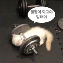 동탄 PT 정의철의 운동놀이터 - 개인 PT 받은 후기