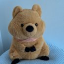 갓삼겹살 이미지