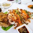 낙지박사 이미지