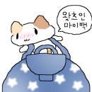 광수육회 상봉점 이미지