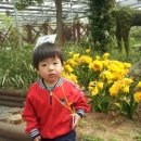 대야행복한어린이집 이미지