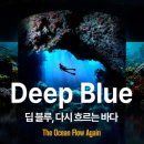 빛의바다 | 빛의 시어터 '딥 블루, 다시 흐르는 바다' 10개월 아기랑 다녀온 후기