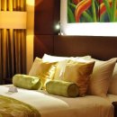 더호텔(the hotel) Daum카페