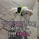 멍발머리 | "하네스 끼우기 3초 컷! 멍템 팔레트 리뷰"