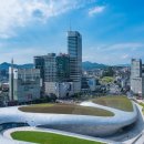 DDP 이미지