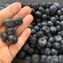 찬우농장 이미지