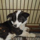 남해부분정비 이미지