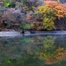 (주)지랑