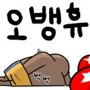 BOXING STORY 이미지