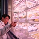 학 농장 이미지