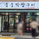 둥둥막창구이 | 합정 막창 맛집 | 둥둥막창구이 돼지막창•곱창볶음 솔직 후기