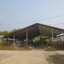 남면목장 이미지