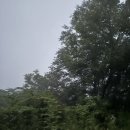 노고단-2 | [지리산 국립공원] 1,507m 노고단 정상, 새벽 일출 산행