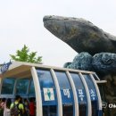 장생포고래박물관 이미지