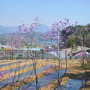 운심농장 이미지