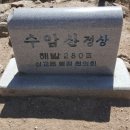 용봉초등학교앞 이미지