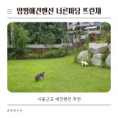 뜨란채펜션 | 양평애견펜션 페텔 너른마당 뜨란채 독채 수영장 잔디밭 내돈내산솔직후기