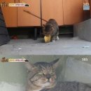 보우농장 이미지