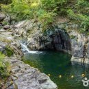 장수덕산로 이미지