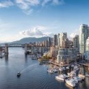 팀 크루즈 이미지