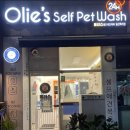 올리스 일산백석점 이미지