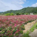 우아농장 이미지