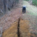 대도농장 이미지