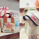 그랜트스튜디오 이미지