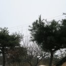 돌산캠핑장 이미지