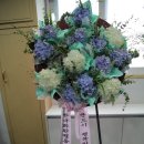 재화꽃집 이미지