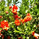 시골나들이 이미지