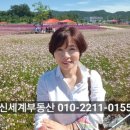 황금코다리(양주만송점) 이미지