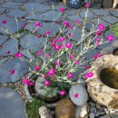 승진행정사 이미지