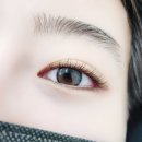버드속눈썹