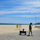 고래불 해수욕장 이미지