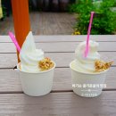 보리소프트 이미지