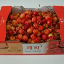 체리김밥 이미지