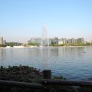 파크피프틴