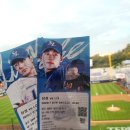 퍼피 인 어스 | 2025년 7월 여전한 취향들 🎀