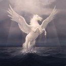 페가수스 이미지